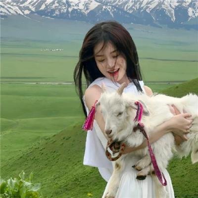 万圣节作战第一季